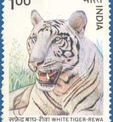 Pin codes for areas in Mumbai, Navi Mumbai, Thane