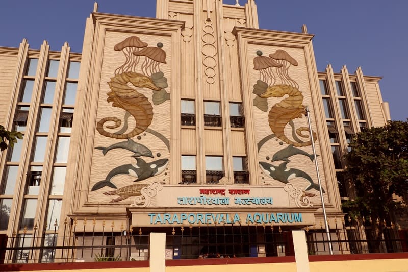 taraporewala aquarium