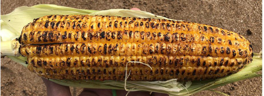 Corn on Aksa Beach