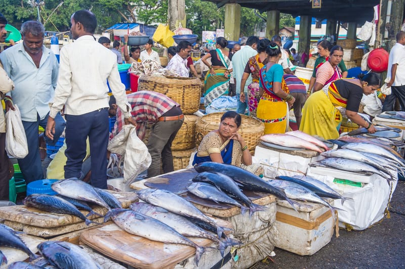 Fish Market in Mumbai