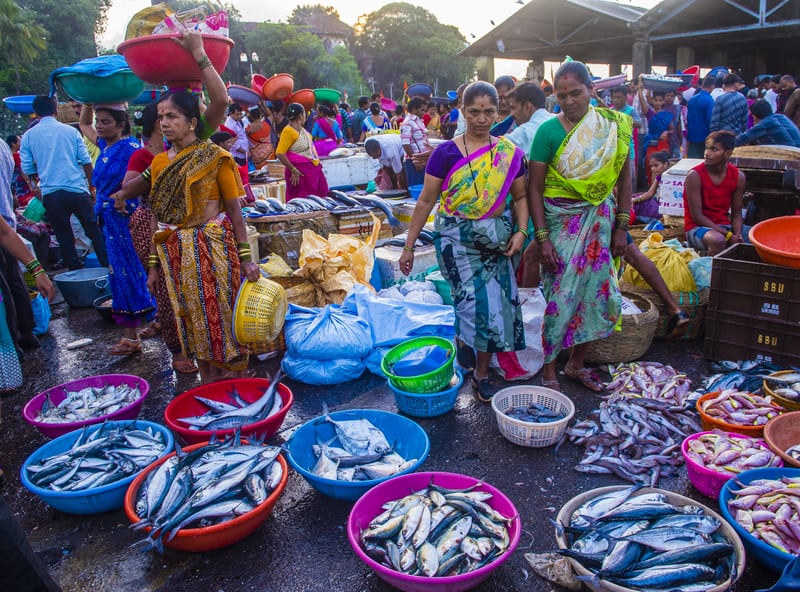 Mumbai Fish Market