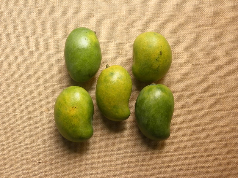 Neelam Mango from Hyderabad