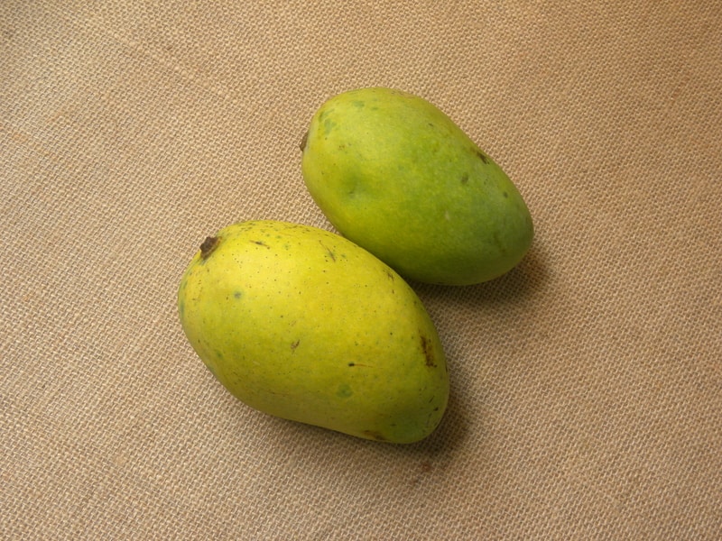 Chausa Mangoes from Uttar Pradesh