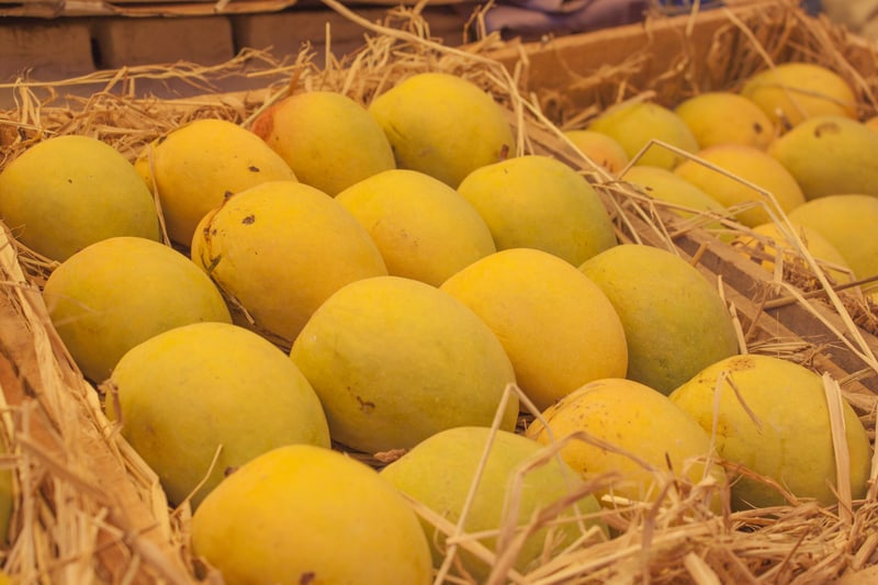 Alphonso (Hapoos) from Ratnagiri