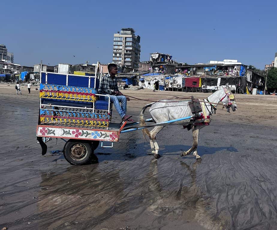 Versova Beach Horse Ride