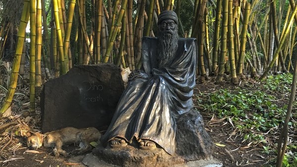 Osho Garden