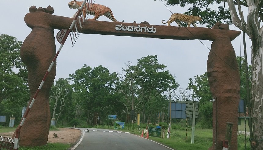 Mudumalai-National-Park-Entry