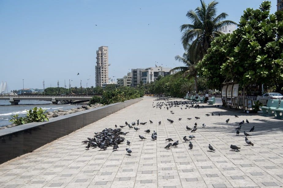 Worli Seaface
