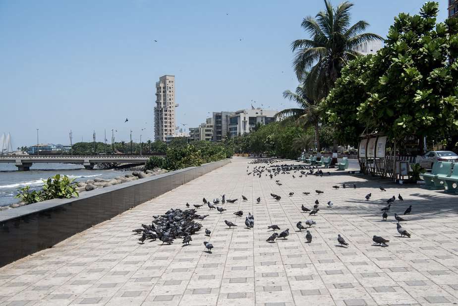 Worli Seaface