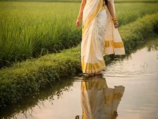 South Indian Fashion