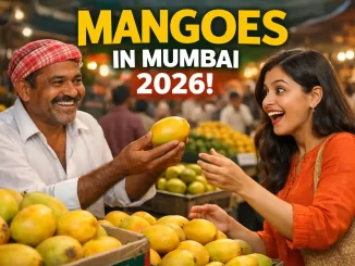When Will Mangoes Be Available in Mumbai