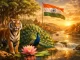 India Icon
